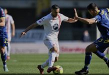 Verona – Monza , I precedenti della sfida